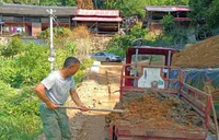 刘飞燕：山沟沟里的“茶”路传奇