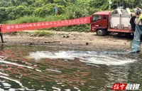 鱼跃碧波间   共绘生态画卷