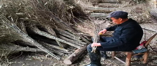 利用竹枝废料捆扎扫帚 变废为宝助农增收