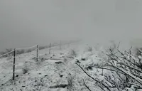 绥宁牛坡头雪雾染峰峦  雾凇雪景醉游人