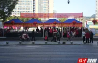 绥宁县开展“三八”维权周普法宣传活动