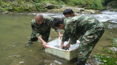 绥宁：南山国家公园候选区黄桑片区放归4尾大鲵 守护珍稀水生野生种质资源
