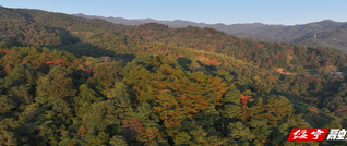 綏寧：秋染大地美如畫