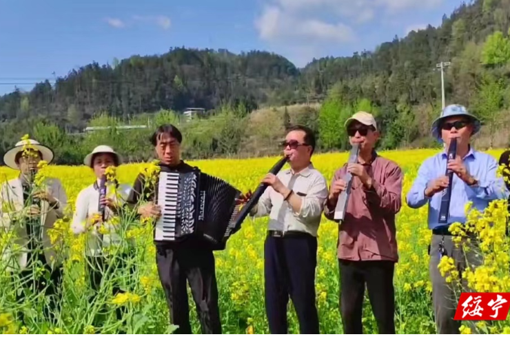 绥宁县器乐爱好者在油菜花田间尽情演奏享受春日时光