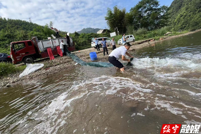 绥宁：珍贵鱼类湘华鲮首次放流巫水河