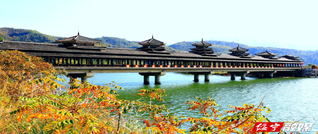 暖冬下的花园阁湿地公园