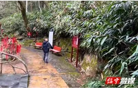 迎战低温雨雪冰冻  湖南黄桑保护区多措并举 曲幽谷景区临时闭园护安全