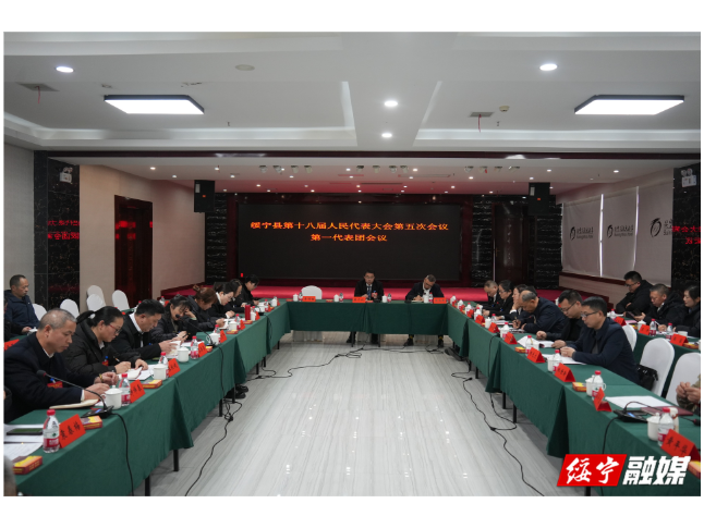 集智聚力谋发展 履职担当献良策——我县各人大代表团深入开展分团审议