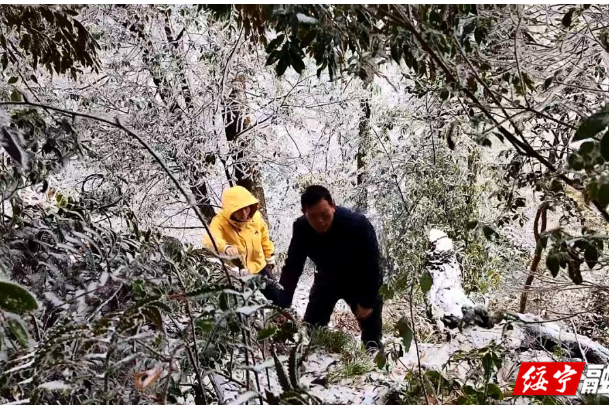 绥宁：黄桑保护区工作人员踏雪巡山护生态 检修设备守秘境