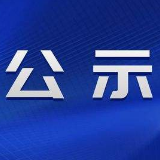 公   示