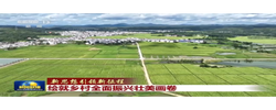 新思想引领新征程丨绘就乡村全面振兴壮美画卷