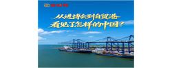壹視界·任平文章解讀｜從進(jìn)博會(huì)到自貿(mào)港，看見(jiàn)了怎樣的中國(guó)？