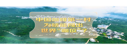 改革者 正青春｜中國(guó)咖啡第一村為啥能闖出世界“咖位”？