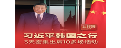 此行間·100秒回顧習(xí)近平韓國(guó)之行