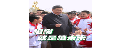 傳習(xí)錄丨植樹(shù)就是植未來(lái)