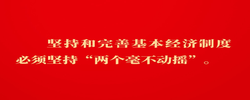 金句｜堅(jiān)持和落實(shí)“兩個(gè)毫不動(dòng)搖”，總書(shū)記這樣深入闡述