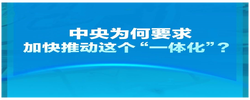 聯(lián)播+｜中央為何要求加快推動(dòng)這個(gè)“一體化”？