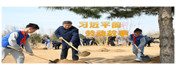 追光的你丨習(xí)近平的勞動(dòng)故事