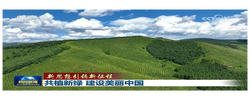 【新思想引領(lǐng)新征程】共植新綠 建設(shè)美麗中國(guó)
