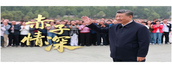 时政微视频丨赤子情深