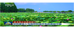 新思想引领新征程丨加快建设人与自然和谐共生的美丽中国