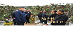 总书记的人民情怀丨“以加快农业农村现代化更好推进中国式现代化建设”