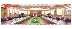 獨家視頻丨習近平會見塞爾維亞總統：弘揚正確二戰史觀 捍衛反法西斯戰爭勝利成果