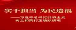 习近平总书记引领全党树立和践行正确政绩观