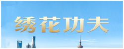 习近平的两会之喻｜城市管理应该像绣花一样精细