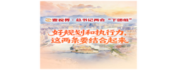 壹视界·总书记两会“下团组”丨好规划和执行力，这两条要结合起来