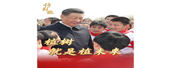 传习录丨种下的是树苗，也是祖国的美好未来