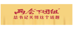一见·两会“下团组”，总书记关切这个话题