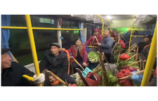 一路公交 两趟加开 开往村民心里的“卖菜公交”