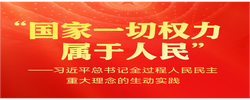 习近平总书记全过程人民民主重大理念的生动实践