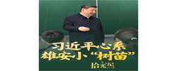 拾光纪·习近平心系雄安小“树苗”