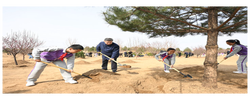习近平在参加首都义务植树活动时强调 为山川大地增添锦绣 让中国式现代化底色更加亮丽