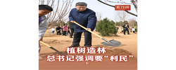 此行间·植树造林，总书记强调要“利民”