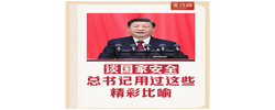 此行间·谈国家安全，总书记用过这些精彩比喻