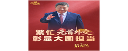 拾光纪·繁忙元首外交彰显大国担当