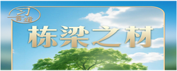 习言道｜习近平种下“栋梁之材”