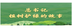 学习新语｜总书记植树护绿的故事