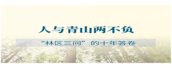学习手记·创新理论引领创新实践 | 人与青山两不负——“林区三问”的十年答卷
