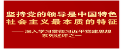 深入学习贯彻习近平党建思想系列述评之一