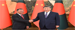 习近平会见孟加拉国总理塔里克