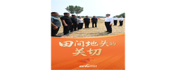 天天学习｜田间地头的关切