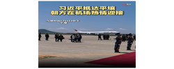 习近平抵达平壤开始对朝鲜进行国事访问