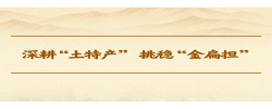 学习手记｜深耕“土特产” 挑稳“金扁担”