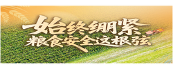 看图学习丨端牢中国饭碗 总书记这样阐释大国“粮”策