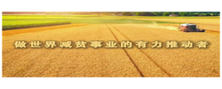 做世界减贫事业的有力推动者