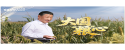 微视频丨大国“粮”心